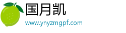 国月凯